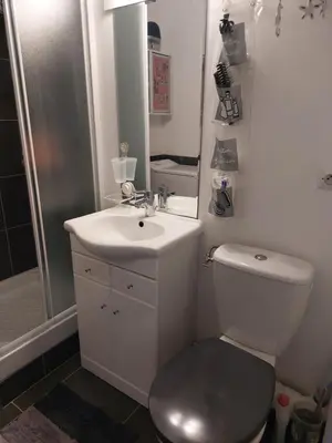 a bathroom with a toilet and a sink and a shower at Le Grand Large in Gruissan