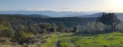 a dirt road in a field with mountains in the background at Le Castillou in Luc-sur-Aude