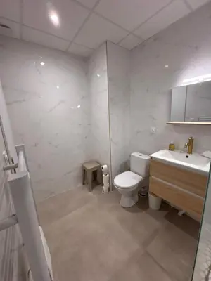 a bathroom with a toilet and a sink at Le Diamant in Narbonne