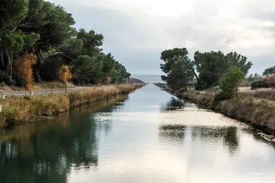 a river with trees on both sides of it at Le Vieux Tilleul - Maison de vacances in Ferrals-lès-Corbières