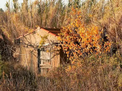 an old house in the middle of a field of grass at Le Vieux Tilleul - Maison de vacances in Ferrals-lès-Corbières