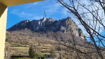 a mountain in the middle of a field with trees at Grand sissou in Bugarach