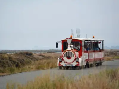 a red and white trolley car driving down a road at Appartement charmant avec balcon, piscine - 5 pers. - FR-1-619-159 in Gruissan