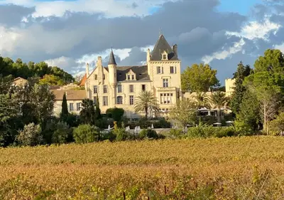 two images of a mansion and a vineyard at Maison & Village Quarante - French Village House in Quarante
