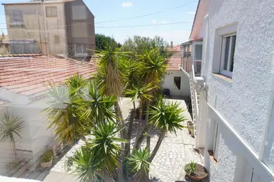 a view of a courtyard with palm trees from a balcony at Le Rouget du Port, Sea Terrace and Air Conditioning in Port-la-Nouvelle