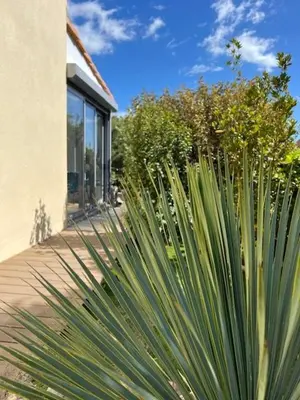 a large green plant next to a building at Villa de charme avec piscine privée au sel in Gruissan