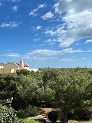 a field of trees with a building in the background at Villa de charme avec piscine privée au sel in Gruissan