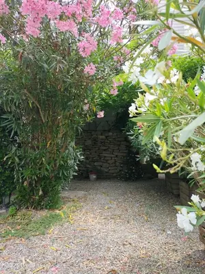 a garden with pink flowers and a brick wall at La Cave à Julie in Mirepoix
