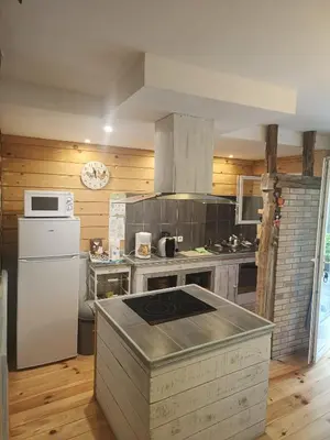 a kitchen with a white refrigerator and a stove at La Cave à Julie in Mirepoix