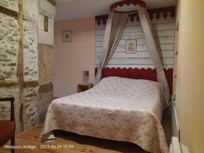 a bedroom with a bed with a canopy at La Cave à Julie in Mirepoix