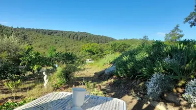 a bedroom with two beds in a room at Maison au pied de la Montagne Noire 6 to 13 people in Cassagnolles