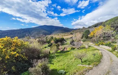 a dirt road in a field with mountains in the background at Maison calme avec vue sur les collines environnantes in Berlou