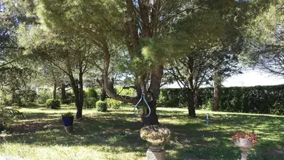a swimming pool in a yard with trees at Villa avec piscine, jardin de 8000m2, cuisine extérieur à 20min de Carcassonne in Arzens