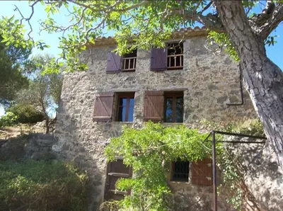 an old stone building with windows and a tree at Le Refuge des Garrigues in Fraissé-des-Corbières