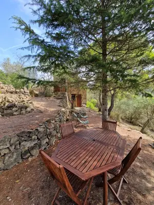 a shower in a bathroom with a stone wall at Le Refuge des Garrigues in Fraissé-des-Corbières