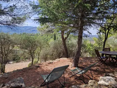 a tree on a hill with bushes and trees at Le Refuge des Garrigues in Fraissé-des-Corbières