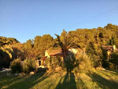 a house with a palm tree in the yard at Schwanenvilla in Paraza