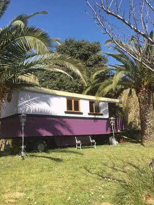 a purple and white caravan parked next to palm trees at Schwanenvilla in Paraza