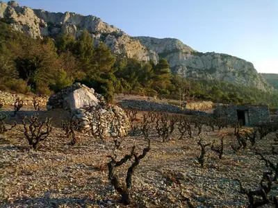 a vineyard with trees and mountains in the background at Domaine Vents Du Sud in Vingrau