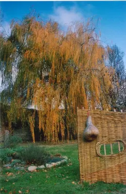 a weeping willow tree behind a fence with a vase on it at Abbaye De Villelongue in Saint-Martin-le-Vieil