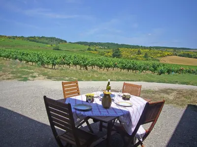 a table with a bottle of wine sitting on top at Villa in Conilhac with Private Terrace in La Serpent