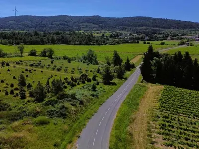 an empty road in a field with a windmill in the distance at Holiday Home in Félines-Minervois with Pool in Félines-Minervois