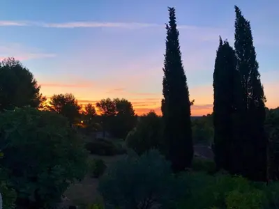 a sunset over a garden with cypress trees at Holiday Home in Montbrun with Pool & Vineyards in Montbrun-des-Corbières