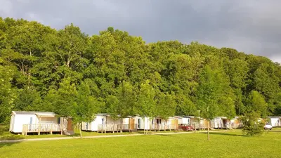 a row of houses in a park with trees at Camping Le Pré Cathare in Lavelanet