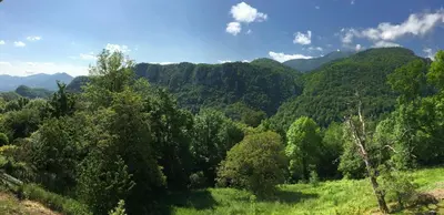 a view of a forest of trees and mountains at Gite de Serrelongue in Montségur