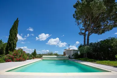 a swimming pool in a yard with a tree at Le Petit Viala in Capestang