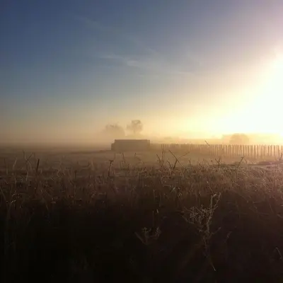 a foggy field with a fence in the background at Le Petit Viala in Capestang