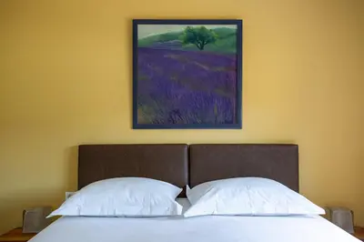 a painting hangs above a bed with two pillows at Le Petit Viala in Capestang