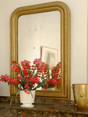 a vase with red flowers in front of a mirror at Château de la Prade in Bram