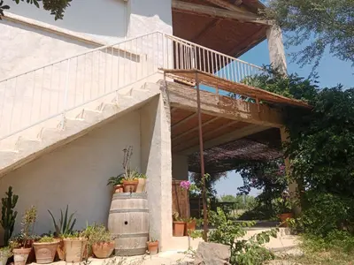 a house with a staircase and potted plants at Domaine Limouzy in Narbonne