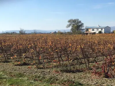 a field of crops with a house in the background at Domaine Limouzy in Narbonne