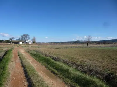 a dirt road in the middle of a field at Domaine Limouzy in Narbonne