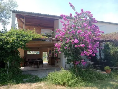 a house with a tree with pink flowers on it at Domaine Limouzy in Narbonne
