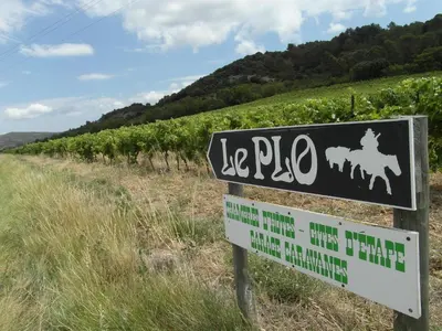 a sign in front of a vineyard with trees at Bergerie Du Plo in Montlaur