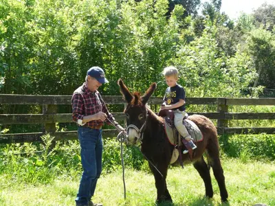 a man and a child riding on a donkey at Bergerie Du Plo in Montlaur