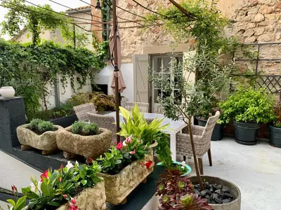a patio with a table and a bunch of plants at L'Ancienne Boulangerie in Caunes-Minervois
