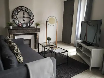 a living room with a couch and a tv and a fireplace at Appartement du GET in Revel