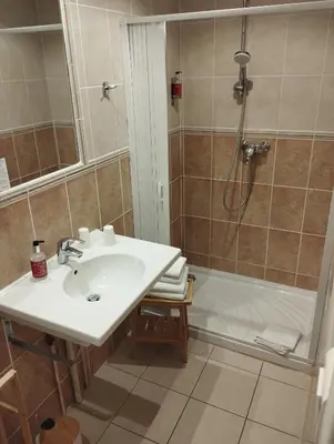 a bathroom with a sink and a shower at Hotel de France in Narbonne