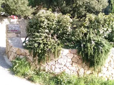 a stone wall with a plant on top of it at La Claouzo in Duilhac