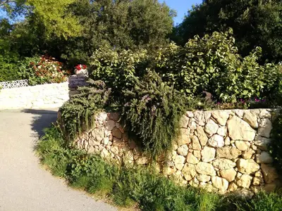 a stone wall with flowers and plants on it at La Claouzo in Duilhac