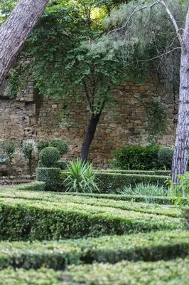 a garden with a stone wall and a tree and bushes at Château d'Agel gite in Agel