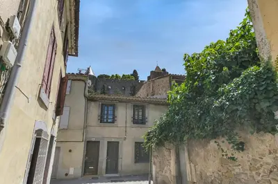 an old building in an alley with a tree at Bellevue Cité Chez Jean - vue directe Cité, Cité à 200m, clim, parking public gratuit à 200m, WIFI - Direct view Cité, 200m to Cité, Aircon, free public car park 200m, WIFI in Carcassonne