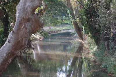 a river with a tree in the middle of it at Bellevue Cité Chez Jean - vue directe Cité, Cité à 200m, clim, parking public gratuit à 200m, WIFI - Direct view Cité, 200m to Cité, Aircon, free public car park 200m, WIFI in Carcassonne