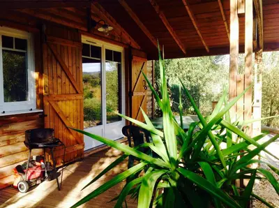 a porch of a wooden house with a plant at Les chalets du Relais d'Aguilar in Tuchan