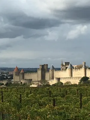 a large castle in a field of grapes at Les Orchidées in Carcassonne