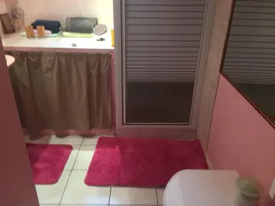 a bathroom with a toilet and two pink rugs at Les Orchidées in Carcassonne